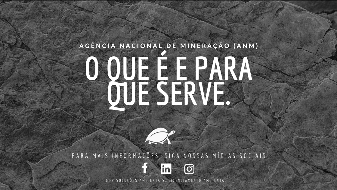 anm_ARTIGO