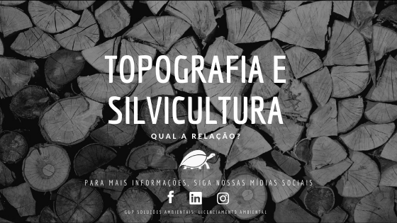 Cópia-de-Capa-de-texto-blog-2-5